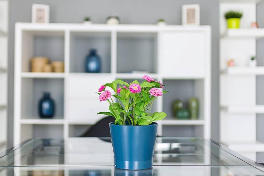 Brand New Stylish 2 Bedroom Apartment Atenas Exterior foto